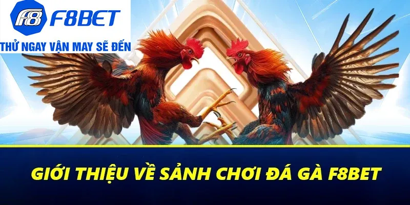 khái quát đá gà f8bet